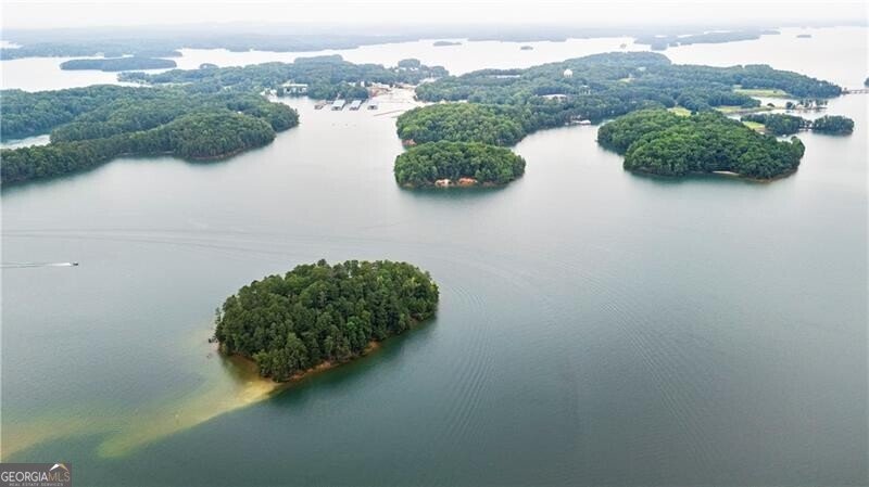 6381 Lakeview Drive Buford - 42