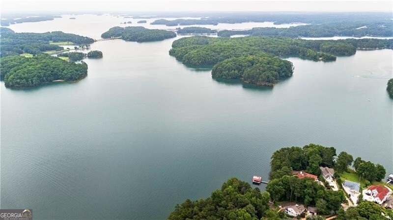 6381 Lakeview Drive Buford - 6