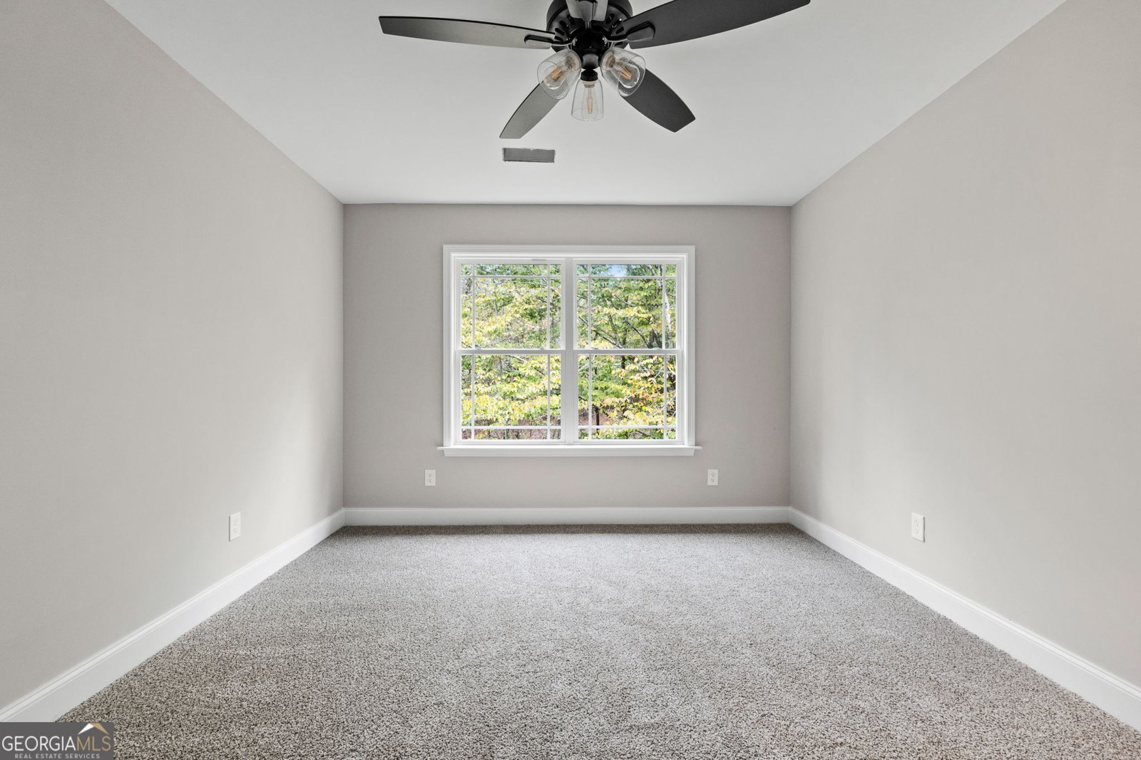 2760 Boxankle Road Forsyth - 29