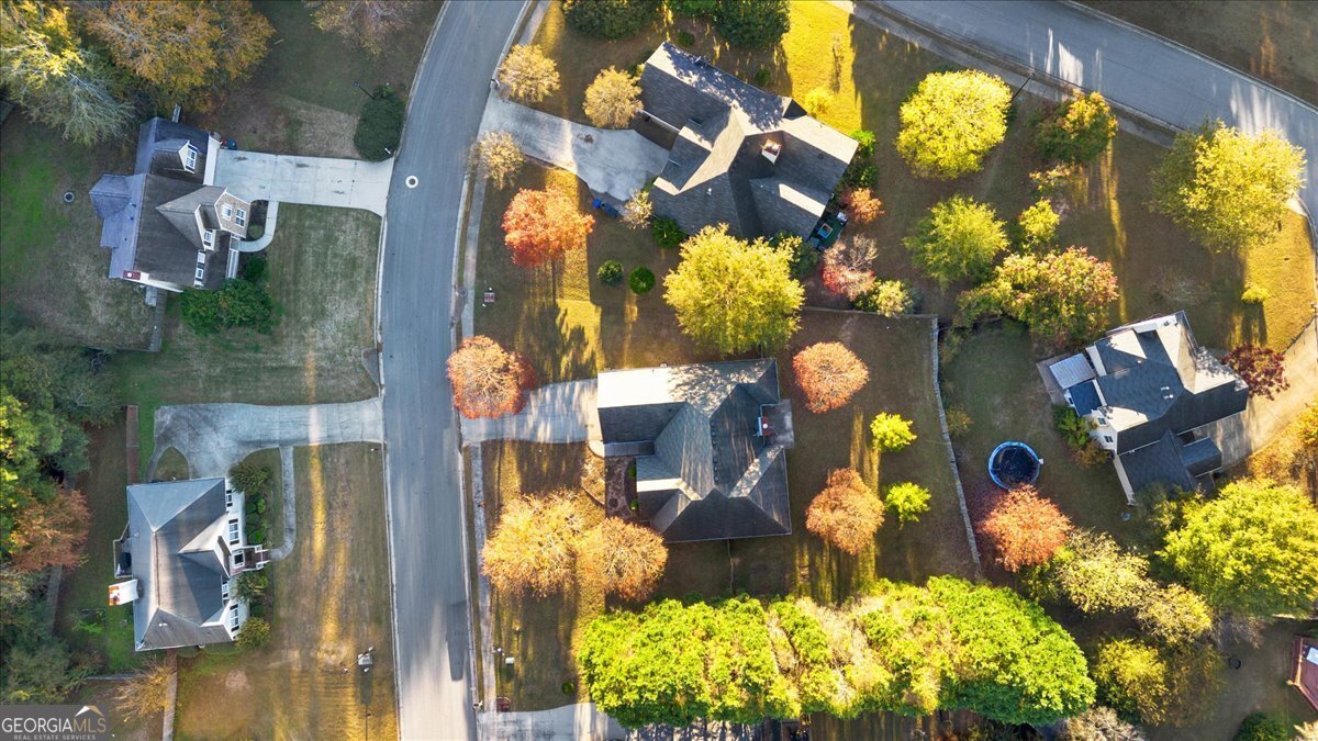 627 Weaver Falls Court Loganville - 4