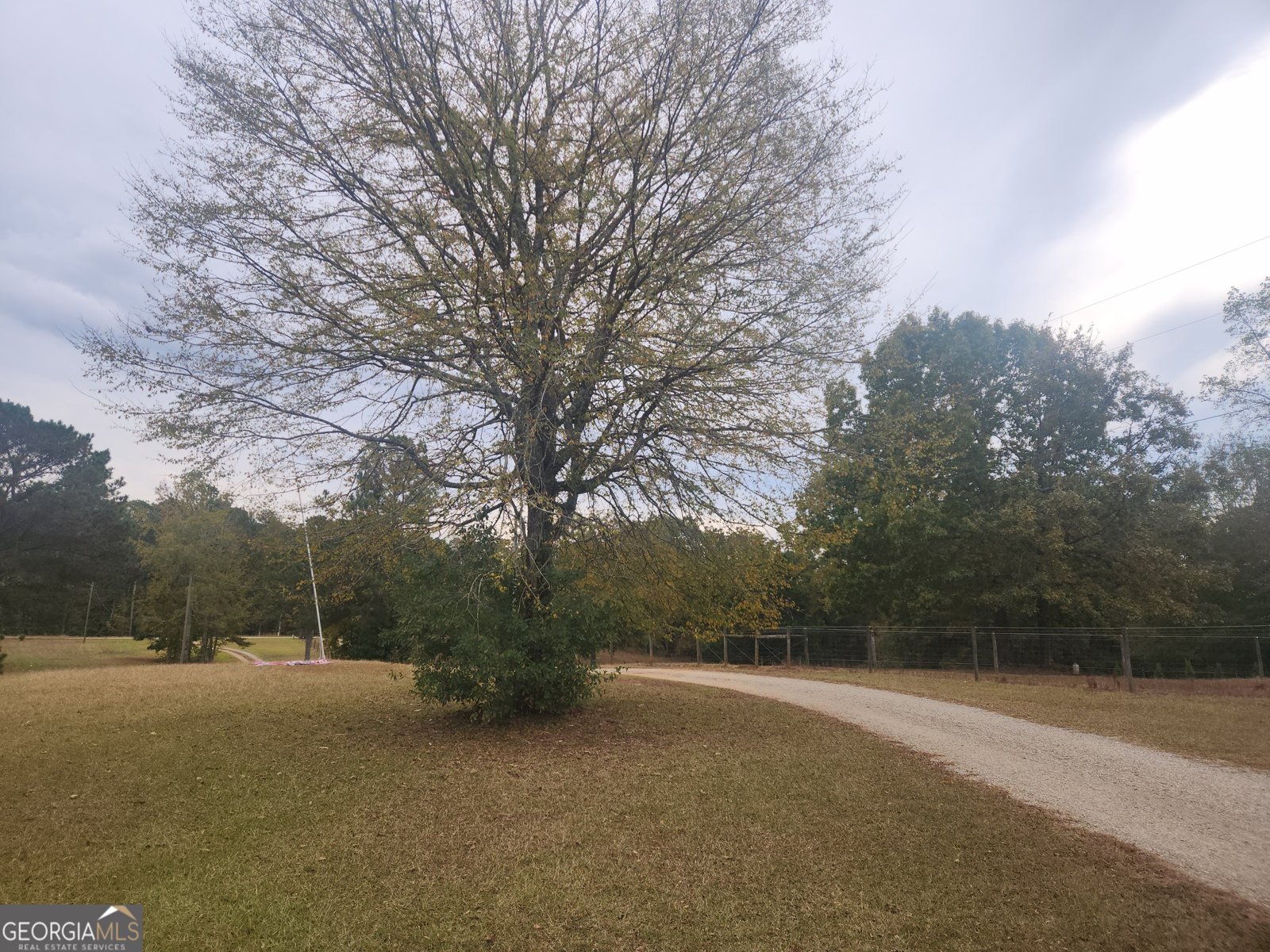 612 Long Piney Road Mansfield - 5