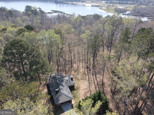 735 Seabreeze Lake Road Buchanan - Photo 14