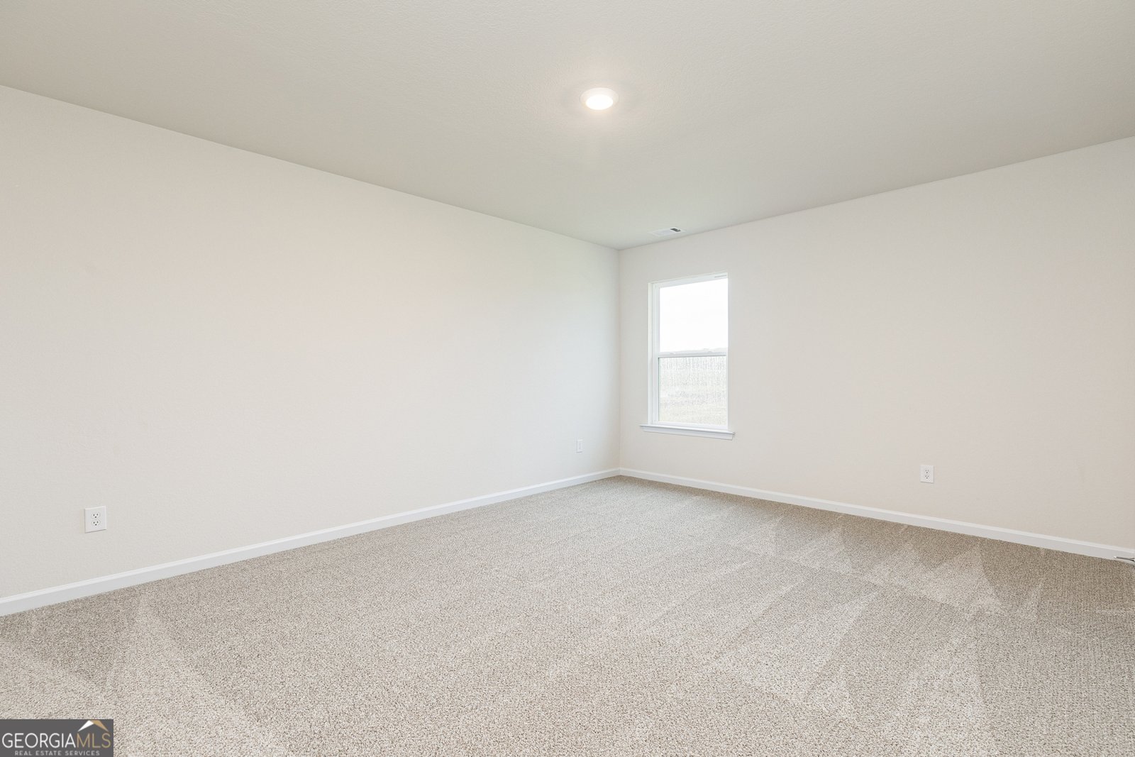 1425 Sodbuster Drive Locust Grove - 2