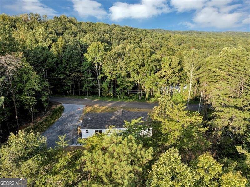 126 Bagwell Trail Waleska - 43