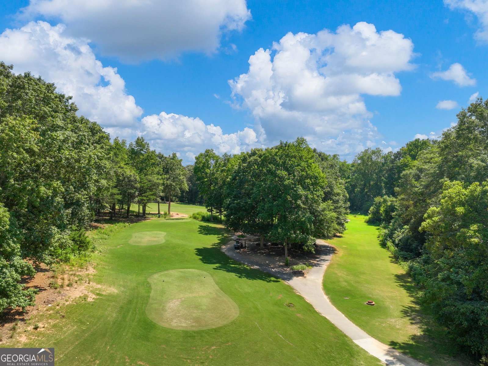 5921 Yoshino Cherry Lane Braselton - 26