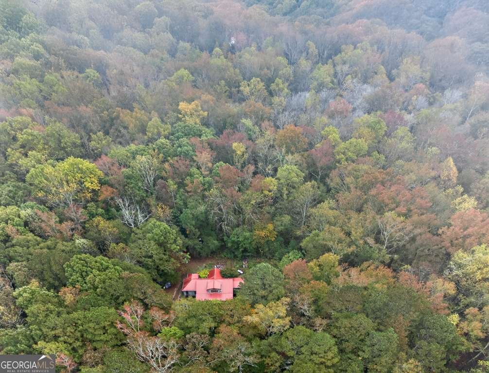 3331 Marce Camp Road Loganville - 23