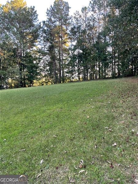 202 HICKORY Jackson - 12