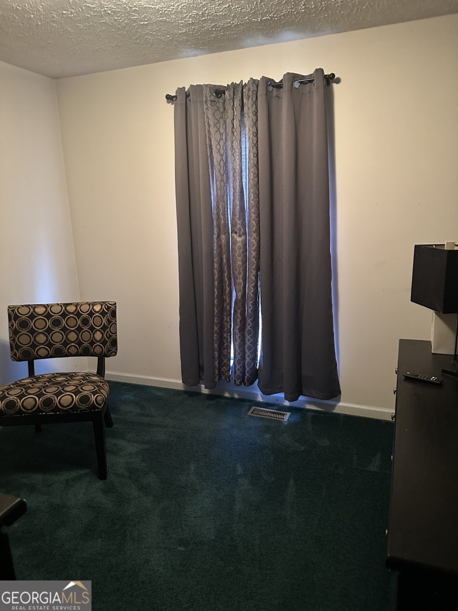 6739 SPRING HEAD Drive Flowery Branch - 5