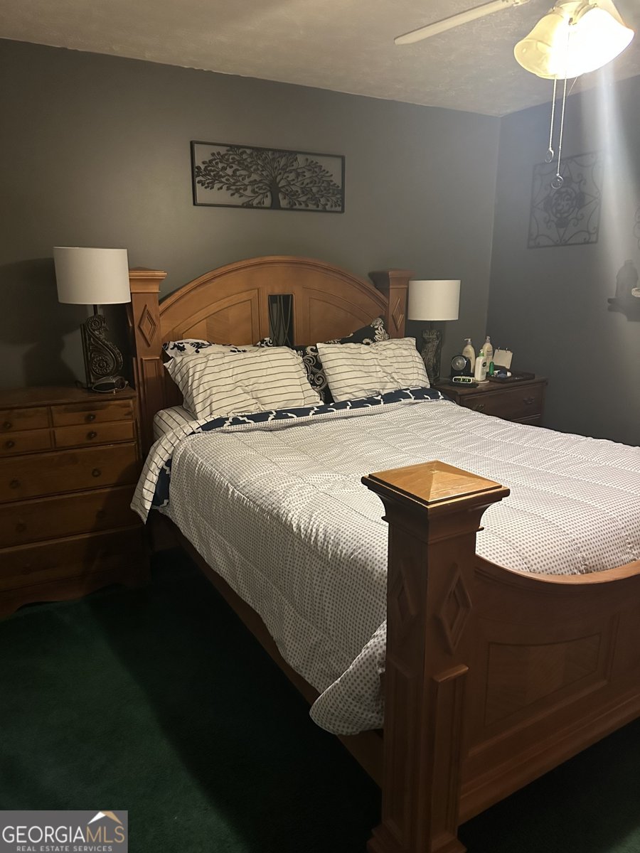 6739 SPRING HEAD Drive Flowery Branch - 7