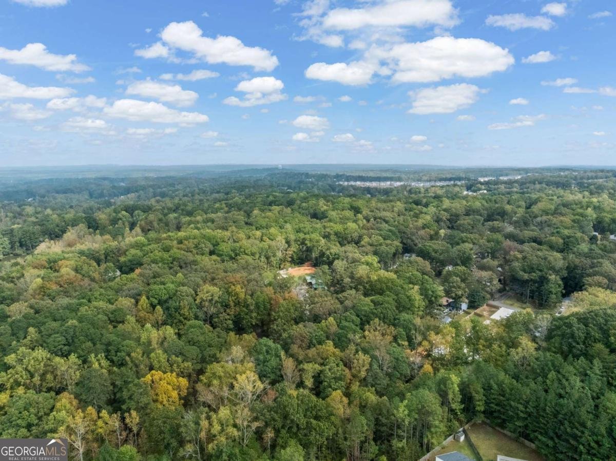 402 Royal Oak Drive Acworth - 45