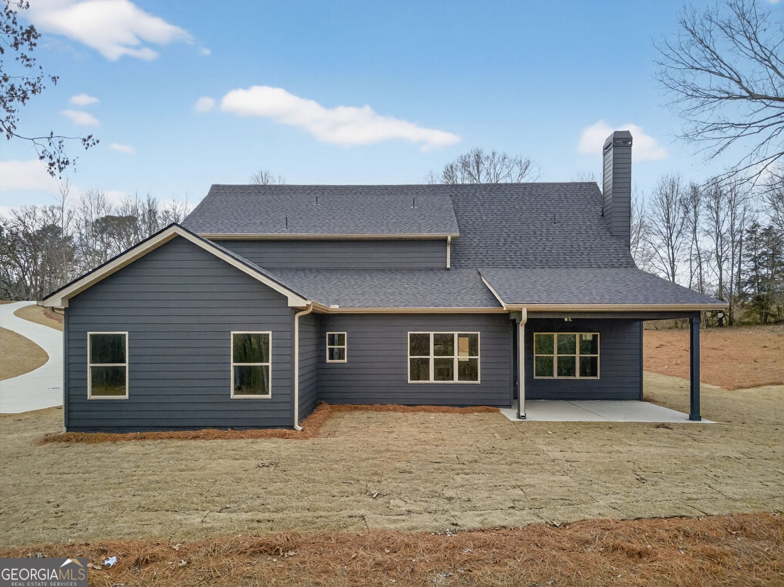 3129 Hwy 5 Bowdon - Photo 41