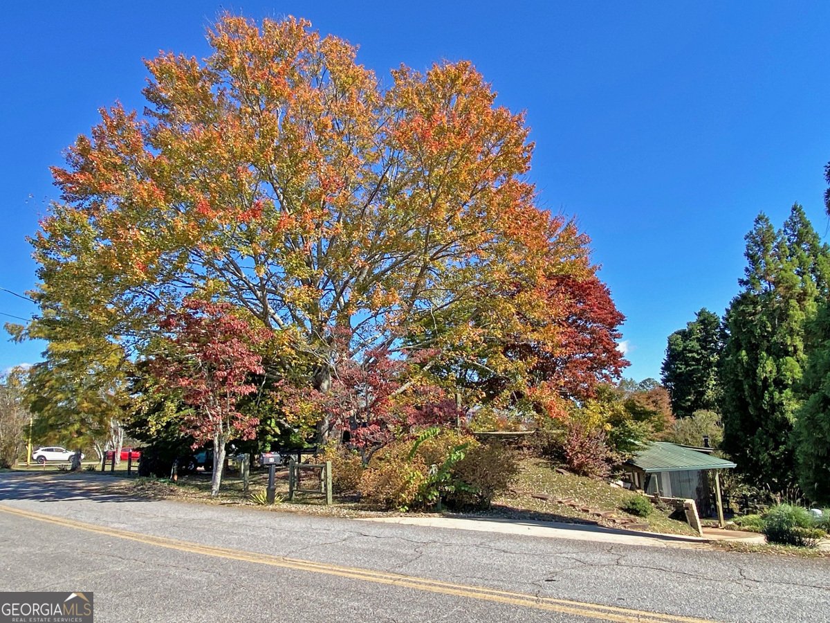 94 Mountain View Drive Dahlonega - 2