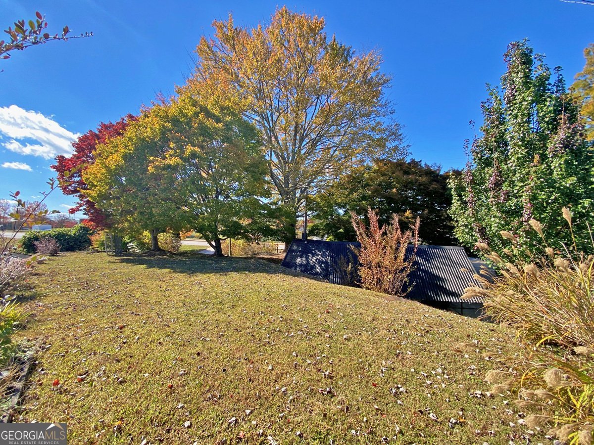 94 Mountain View Drive Dahlonega - 28