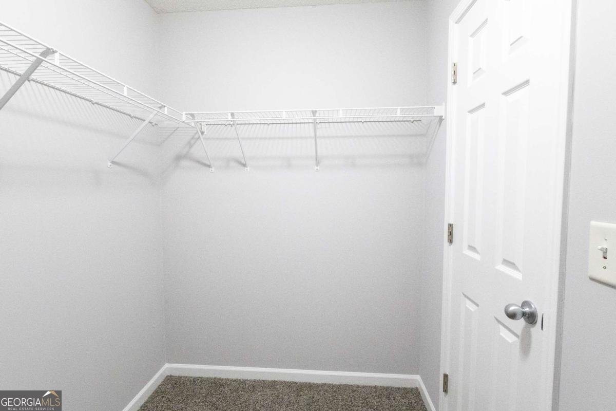 46 Brandish Drive Newnan - 20