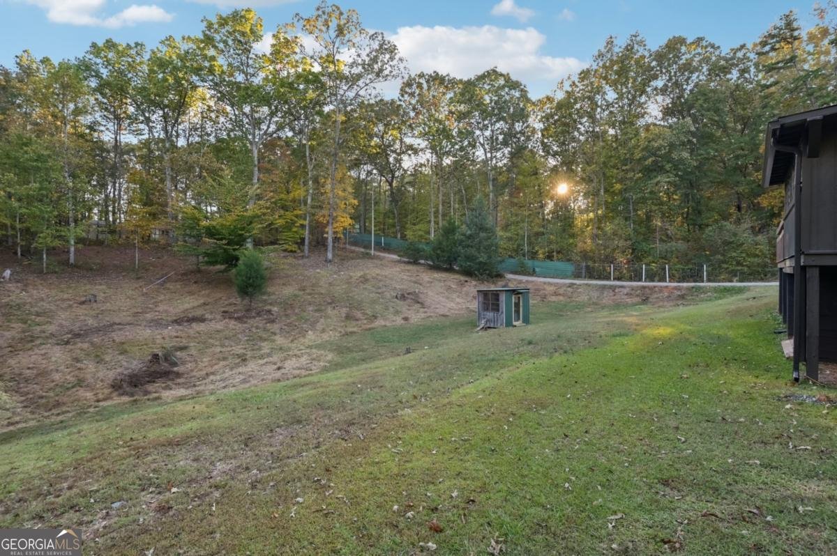 290 Mount Moriah Road Dallas - 29