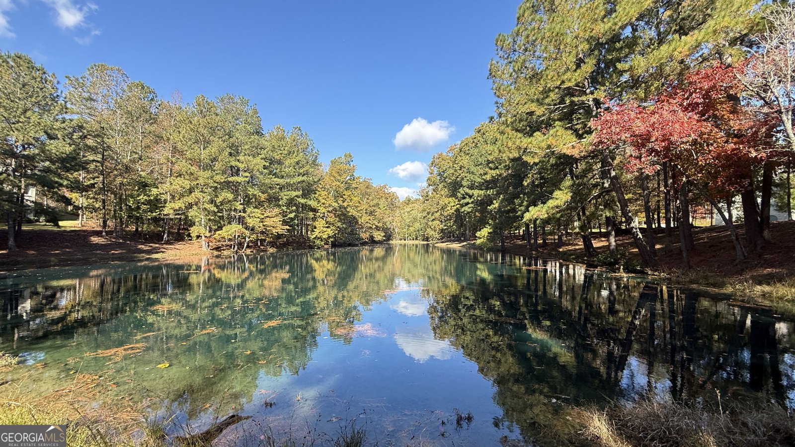 112 Serenity Lake Drive Alpharetta - 11