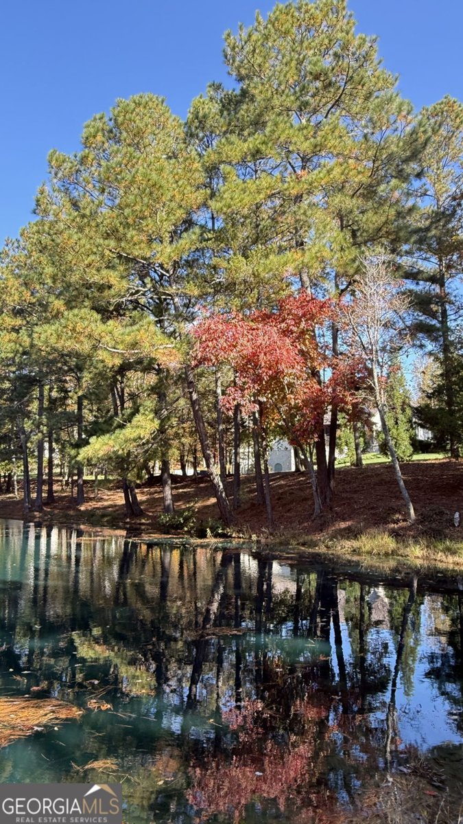 112 Serenity Lake Drive Alpharetta - 12