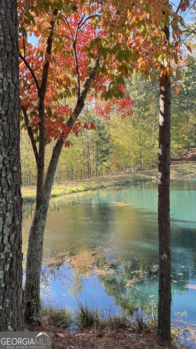 112 Serenity Lake Drive Alpharetta - 13