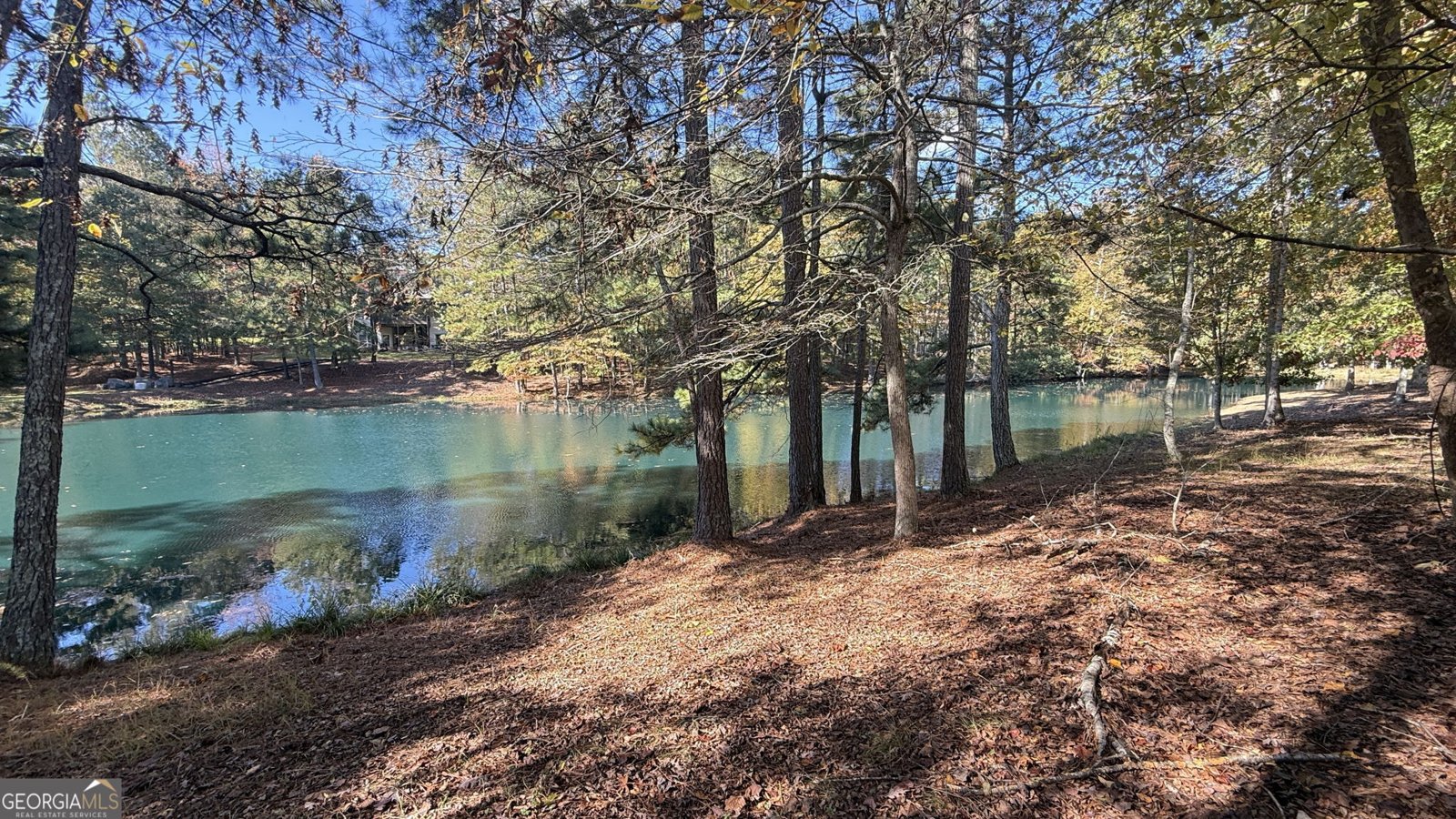 112 Serenity Lake Drive Alpharetta - 14