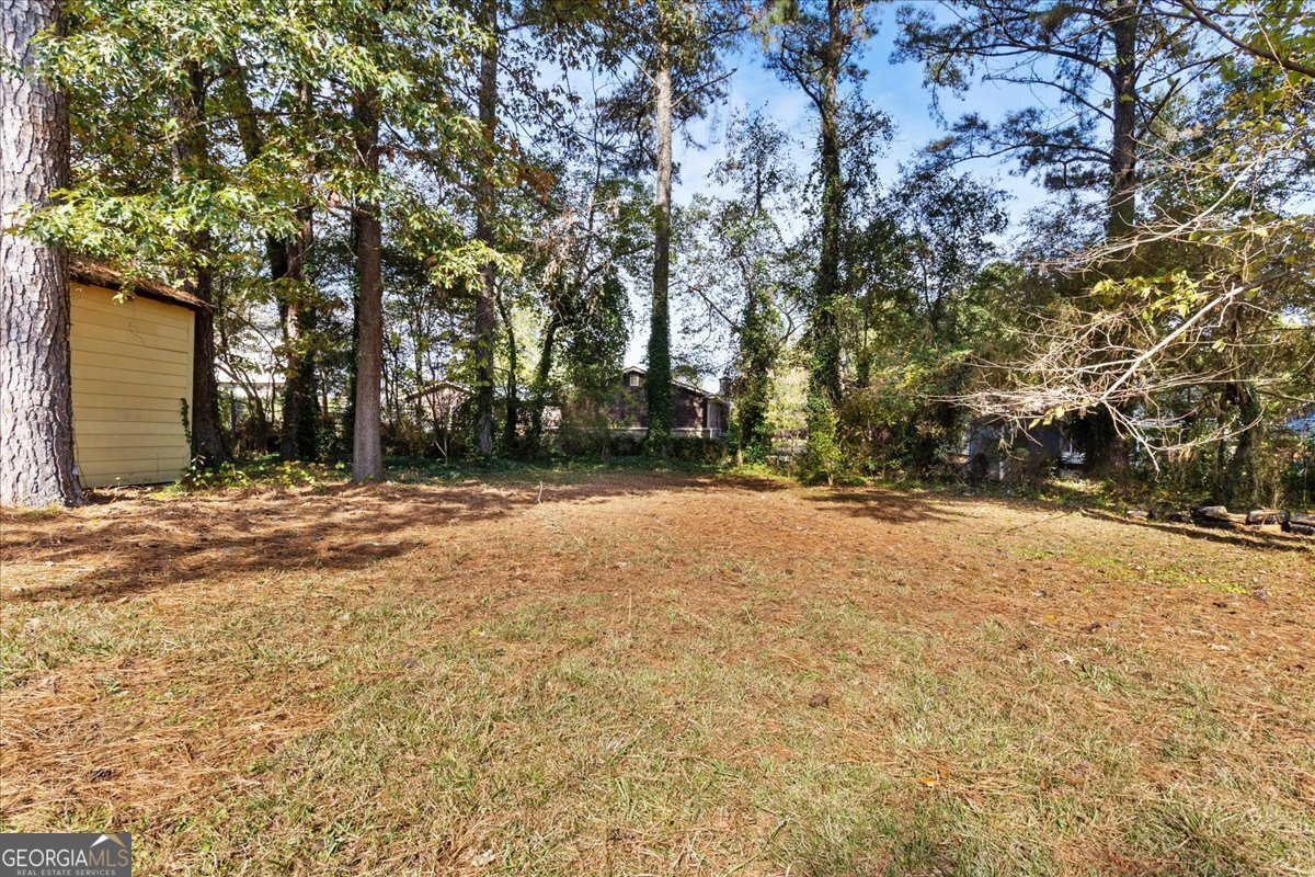 1737 Litchfield Road Snellville - 29