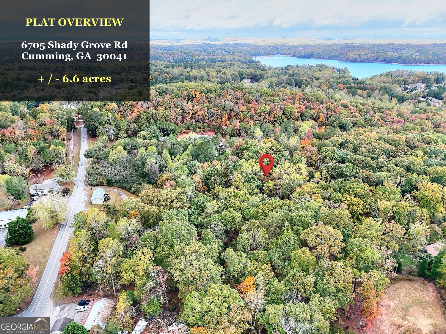 6705 Shady Grove Road Cumming - 5