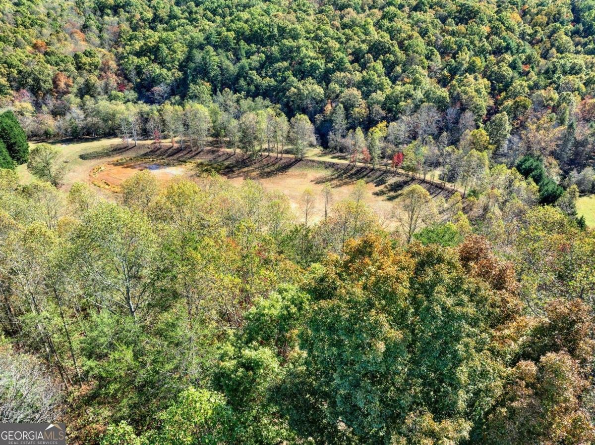 134 Elkmont Drive Dahlonega - 18