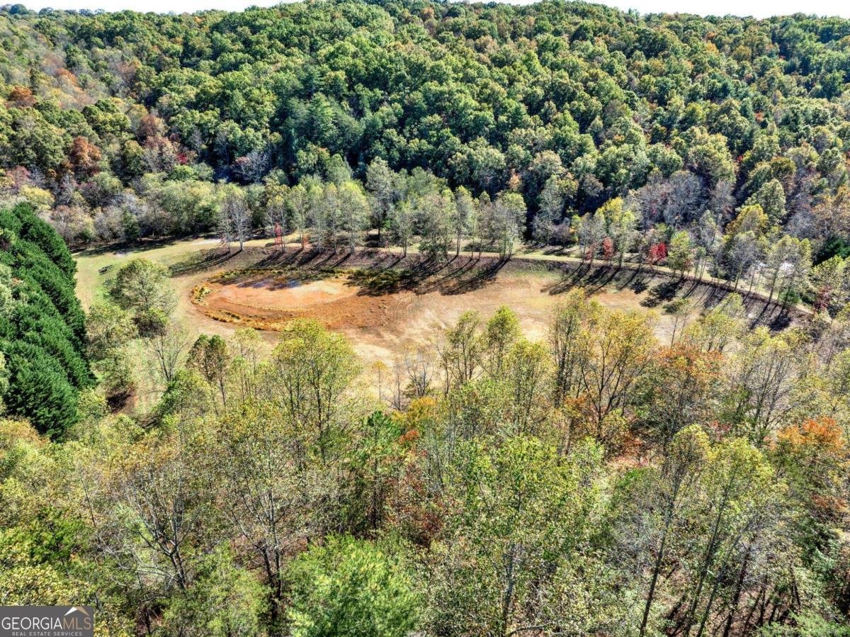 134 Elkmont Drive Dahlonega - 19