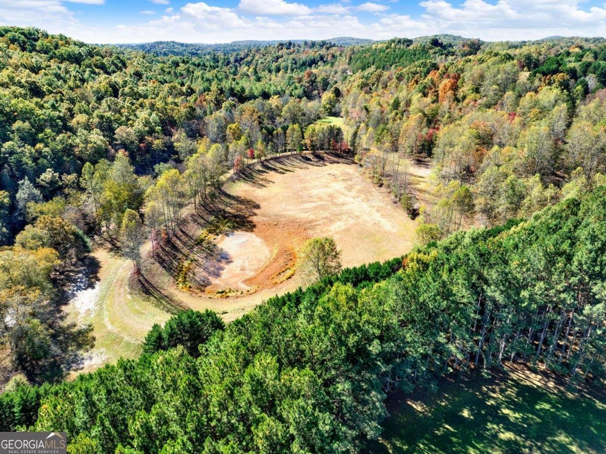 134 Elkmont Drive Dahlonega - 21