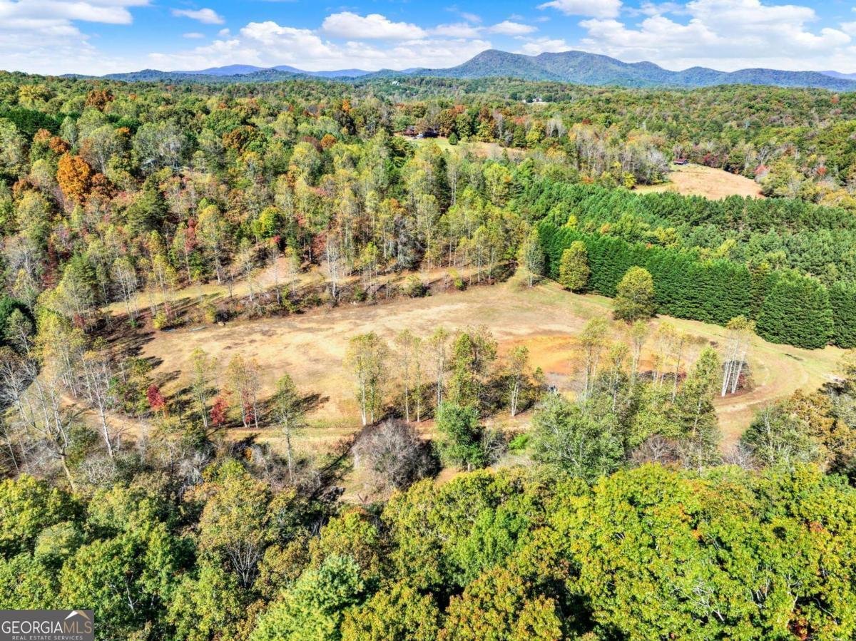 134 Elkmont Drive Dahlonega - 23