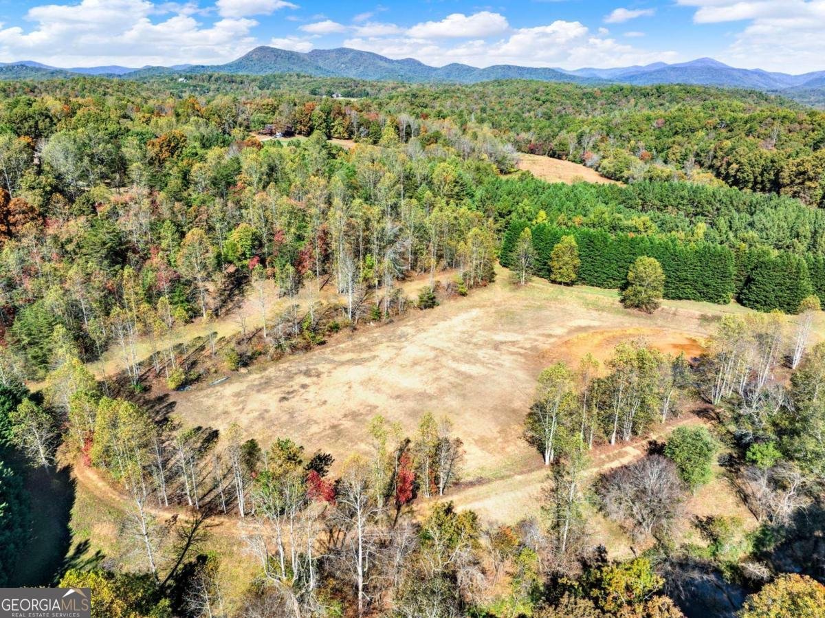 134 Elkmont Drive Dahlonega - 24