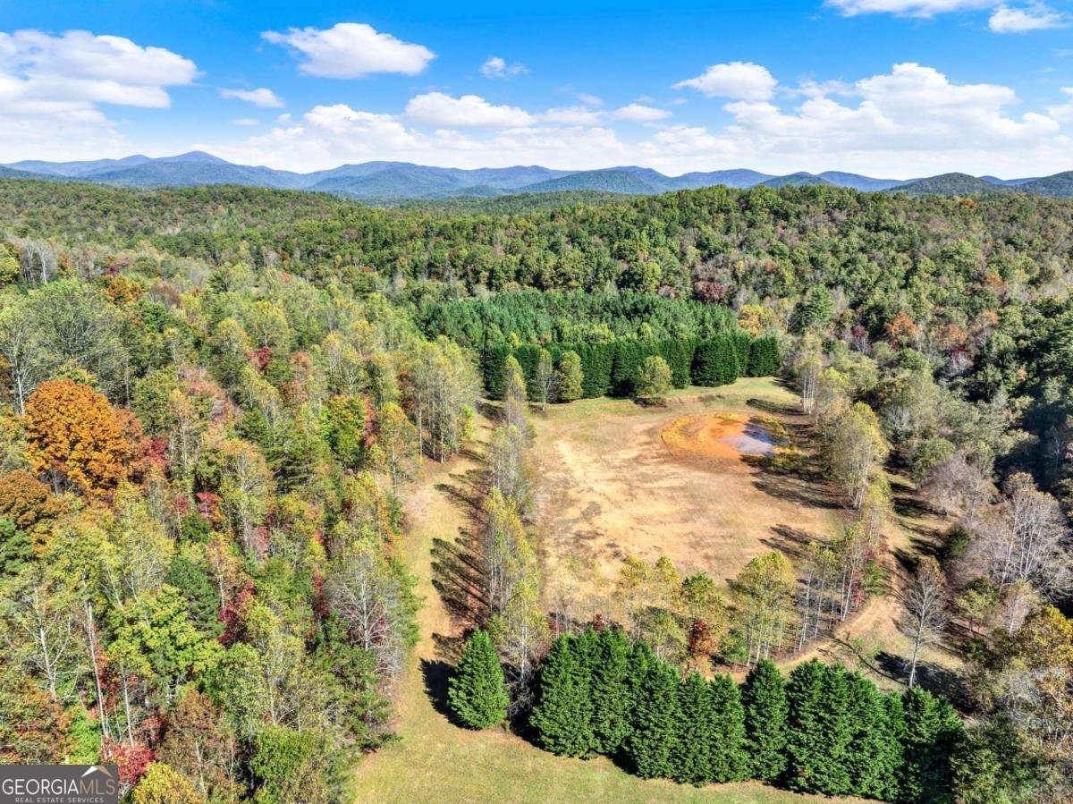 134 Elkmont Drive Dahlonega - 26