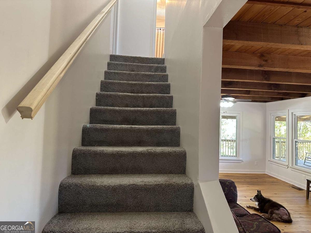 134 Elkmont Drive Dahlonega - 3