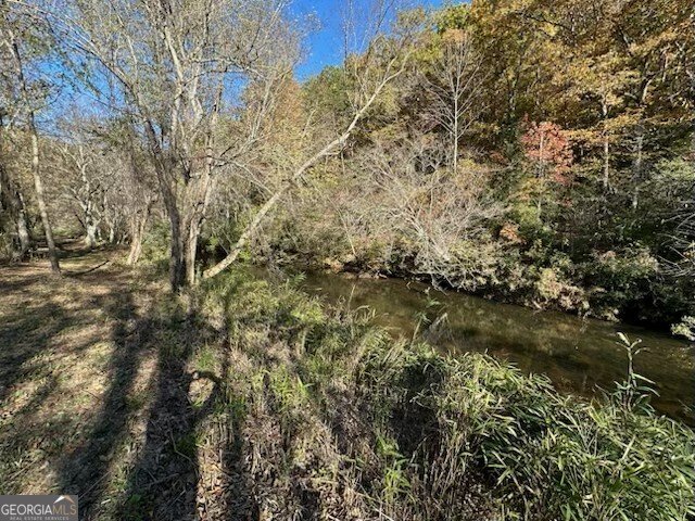 134 Elkmont Drive Dahlonega - 36