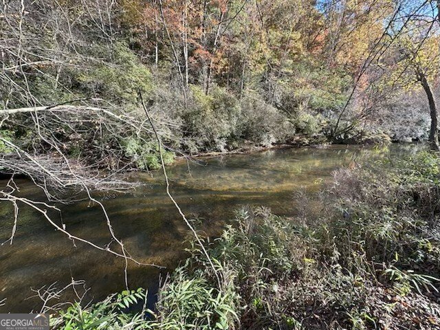 134 Elkmont Drive Dahlonega - 39