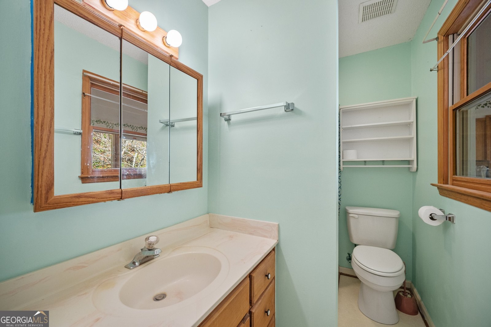 125 Honey Dew Drive Canton - 9