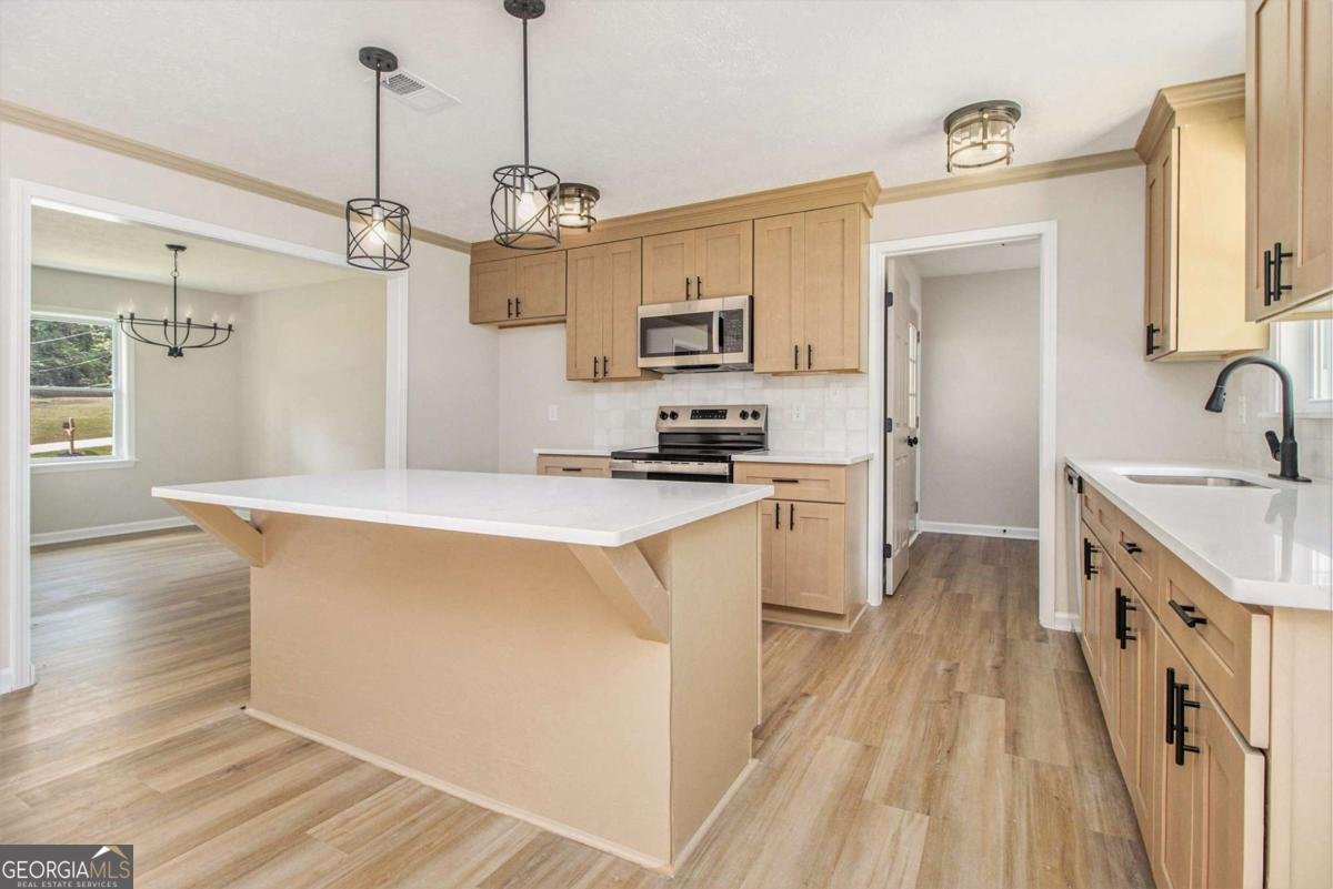 127 Lee Road Senoia - 3