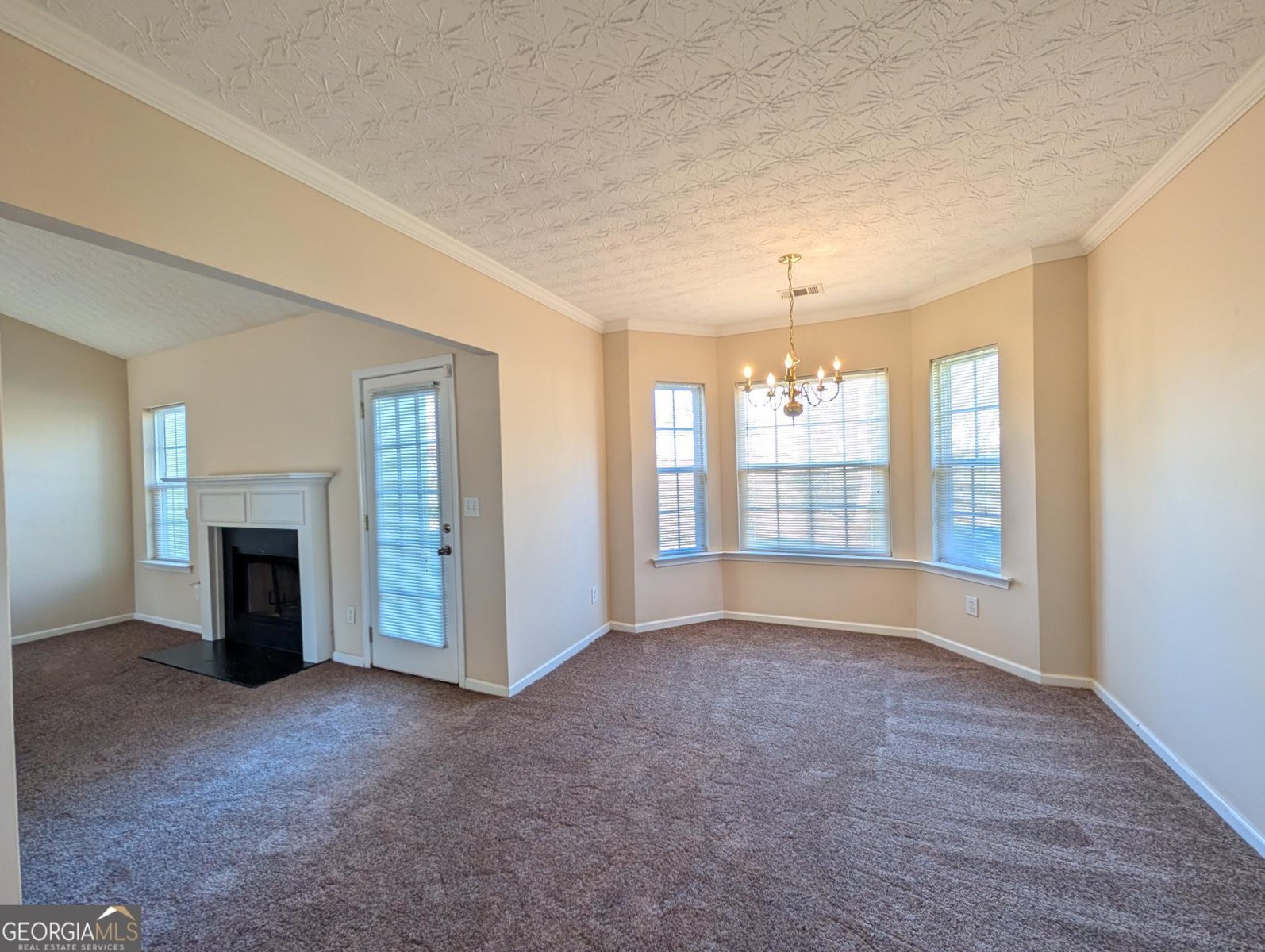 6195 Winston Trace McDonough - 4