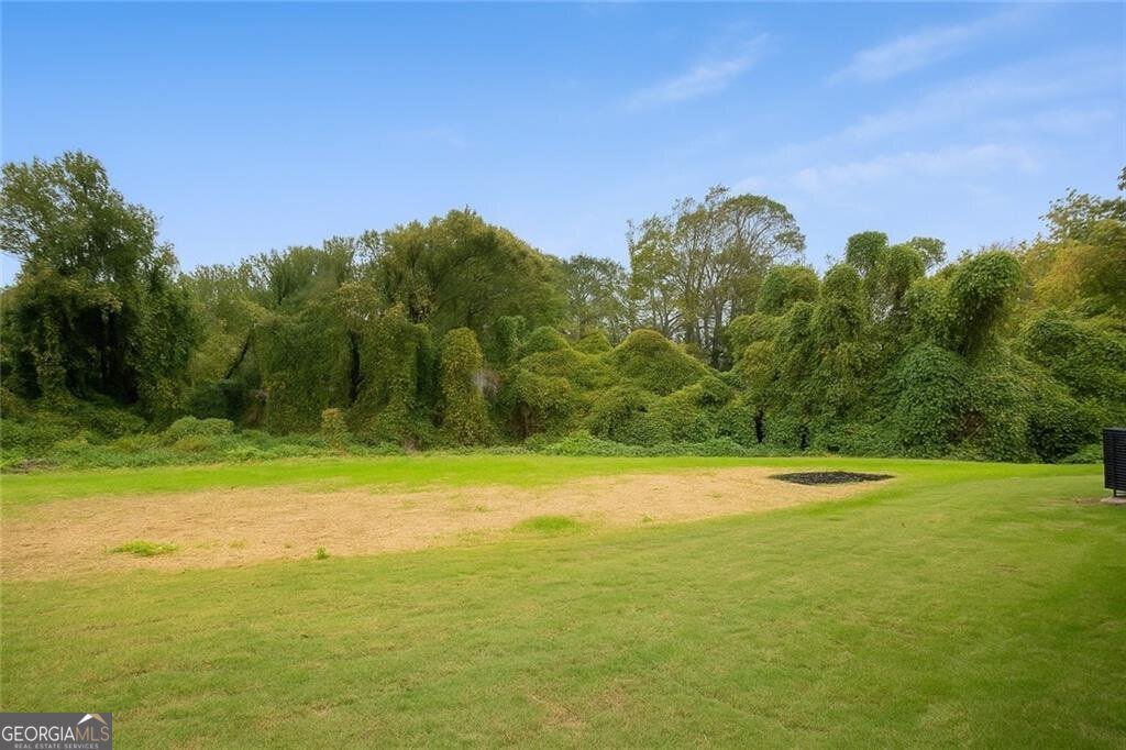 1005 Astor Avenue Atlanta - 19