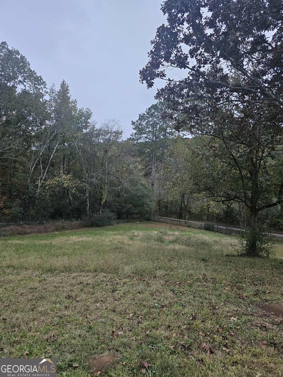 2081 Blacks Bluff Road Rome - 6