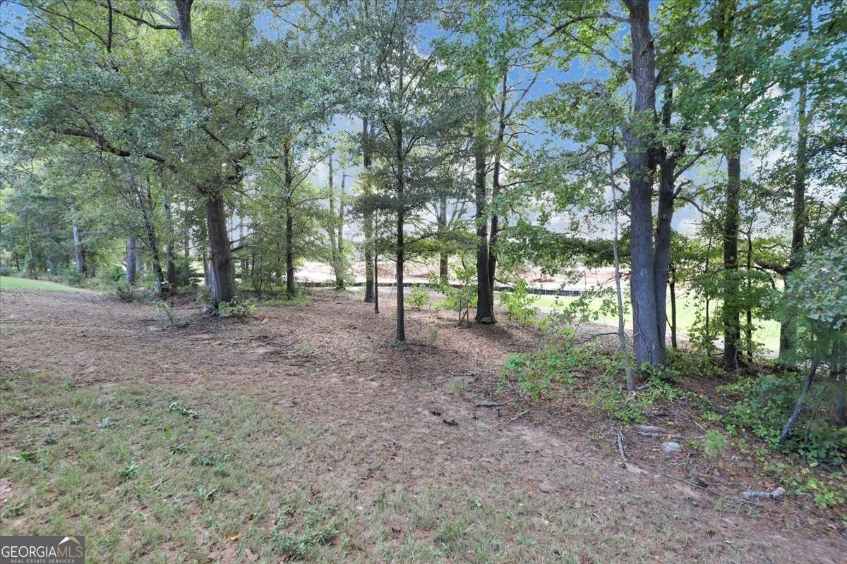 210 Long Drive Mcdonough - 29