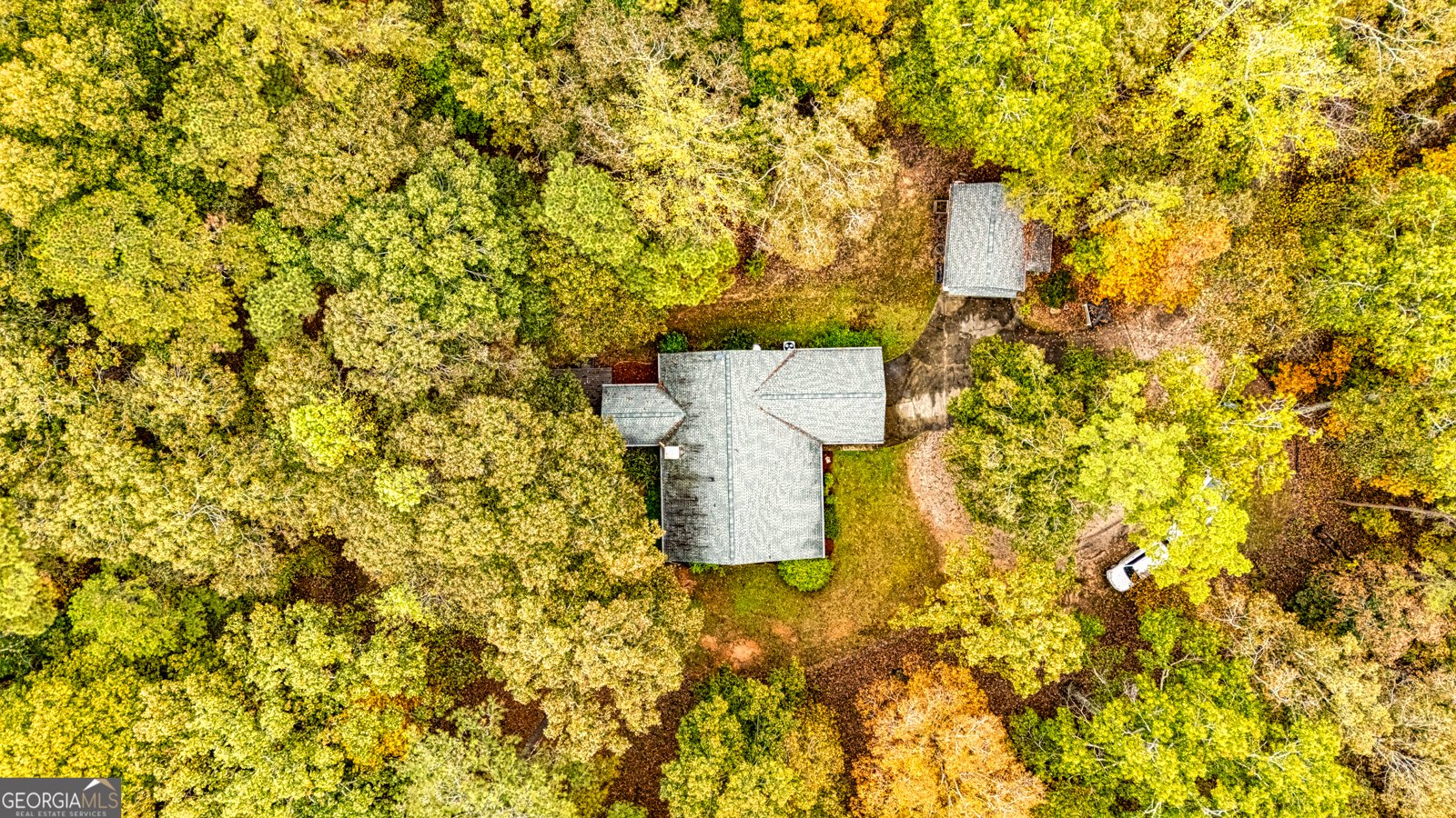 121 Hardy Road Senoia - 26