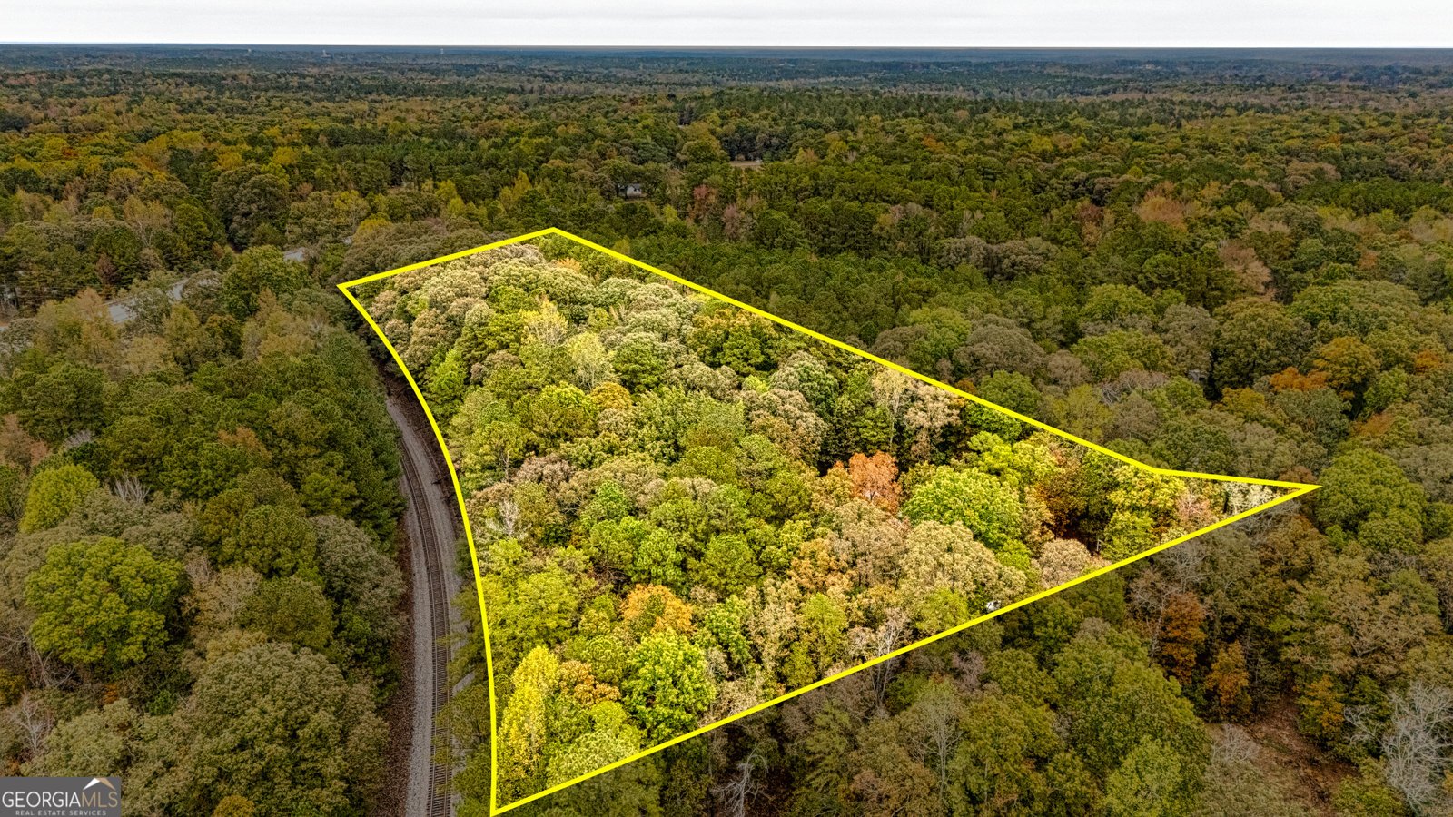 121 Hardy Road Senoia - 35