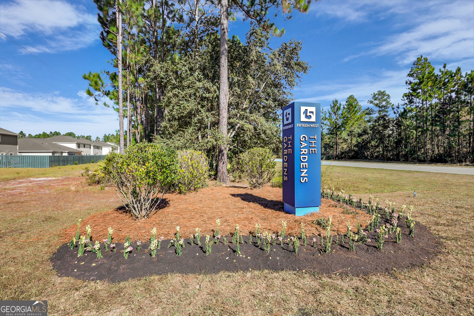 217 Brightleaf Circle Hinesville - 42