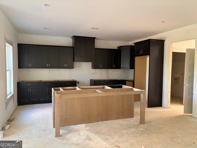 3101 Hwy 5 Bowdon - 5