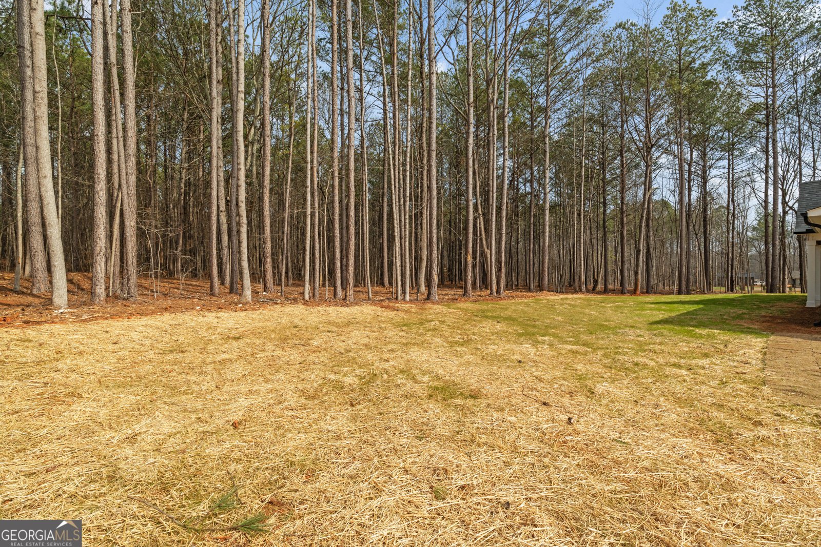 252 Spruill Bridge Road Temple - Photo 47