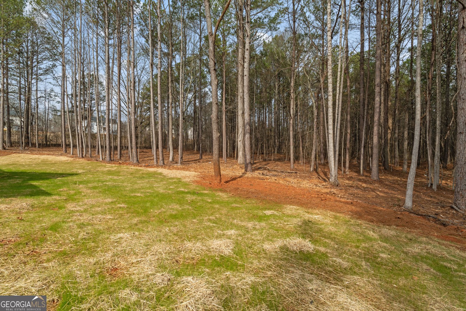 252 Spruill Bridge Road Temple - Photo 48