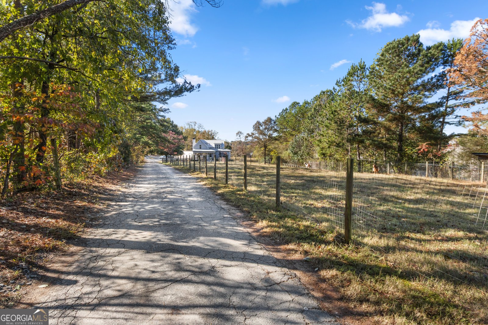 6435 Looper Lake Drive Flowery Branch - 48