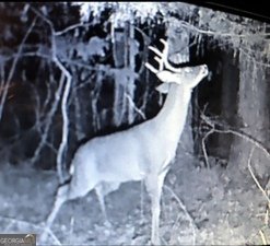 153 Whatley Road Lagrange - 28