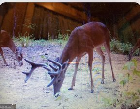 153 Whatley Road Lagrange - 32