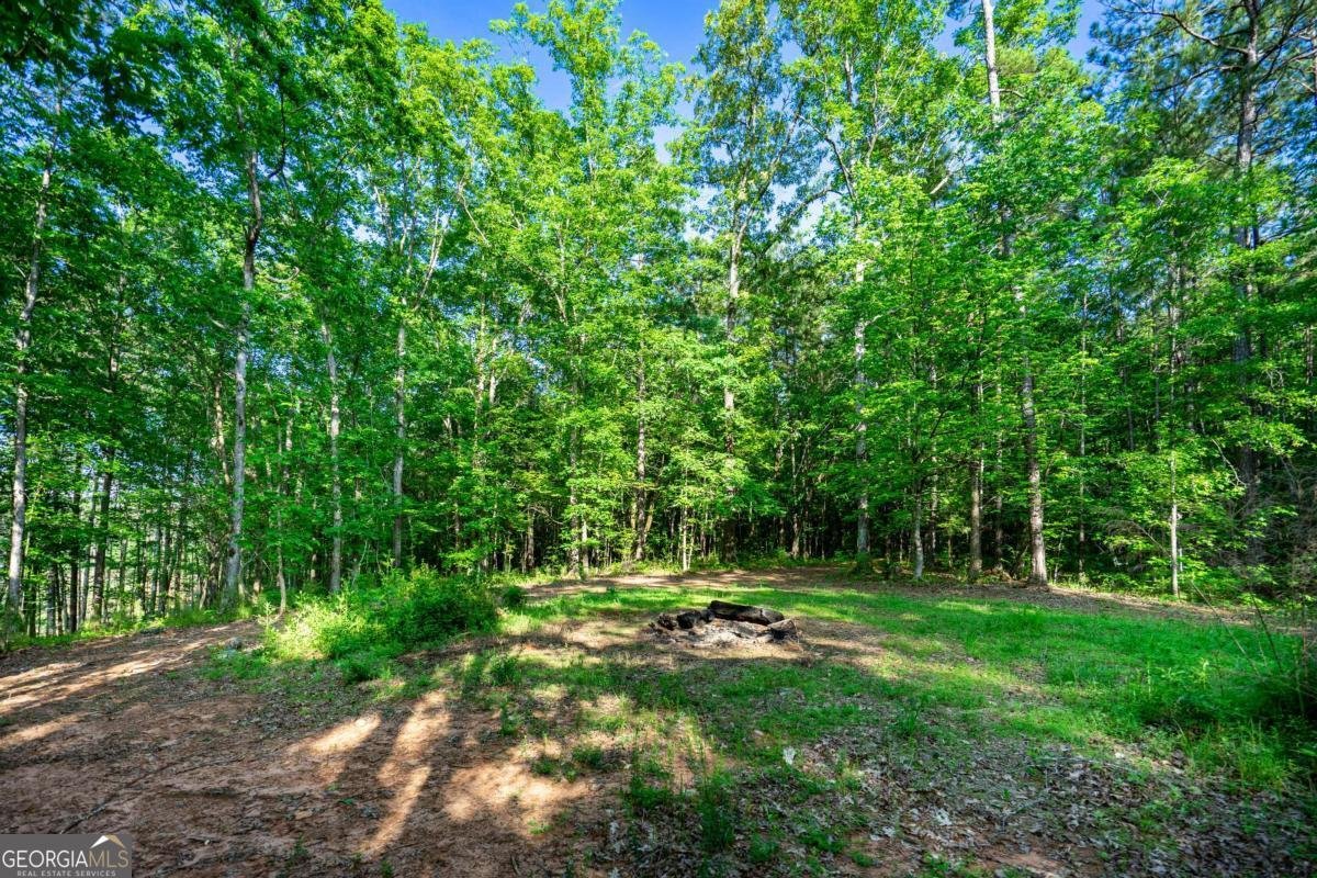 153 Whatley Road Lagrange - 66